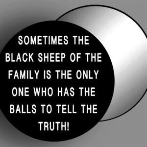 Black Sheep Of The Family Mirror Makeup Artist Accessories